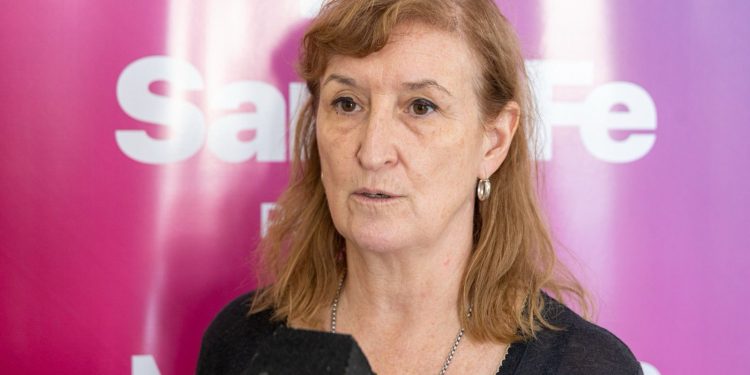 Dengue: situación epidemiológica en la Provincia de Santa Fe