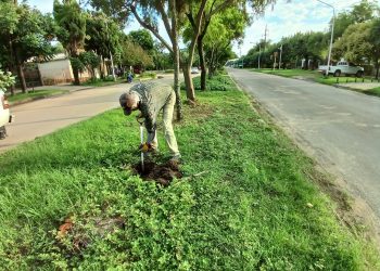 VILLA OCAMPO: CONTINÚAN LOS TRABAJOS DE REFORESTACIÓN EN SECTORES DE LA CIUDAD