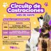 VILLA OCAMPO: CRONOGRAMA DE CASTRACIONES PARA MASCOTAS MES DE MAYO