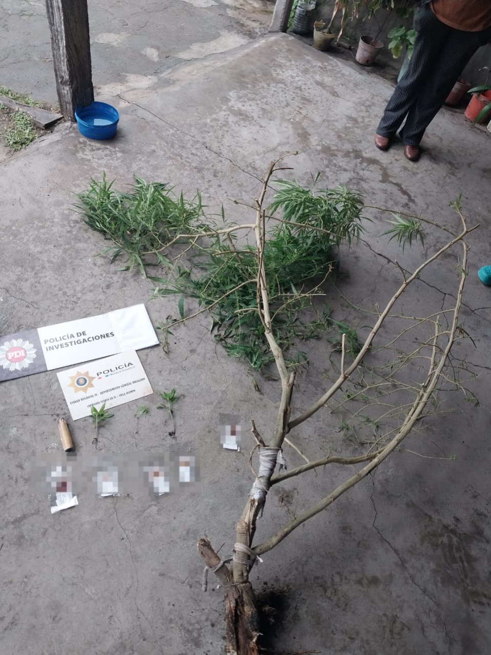 VILLA OCAMPO: ATENTADO Y RESISTENCIA A LA AUTORIDAD, LESIONES LEVES, INFRACCIÓN LEY 23.737.