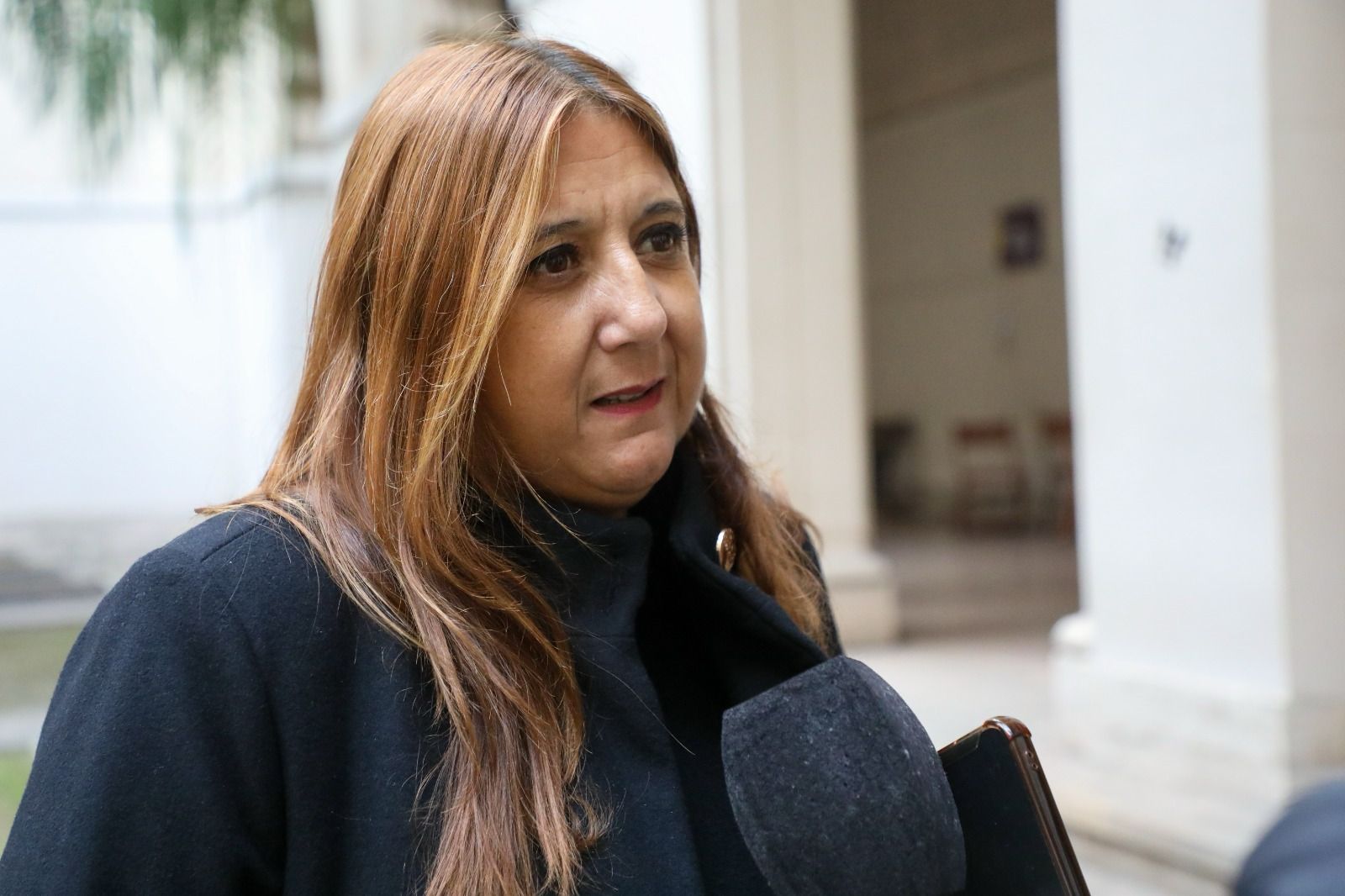 Santa Fe fue sede de una jornada sobre “Violencia de Género Digital”