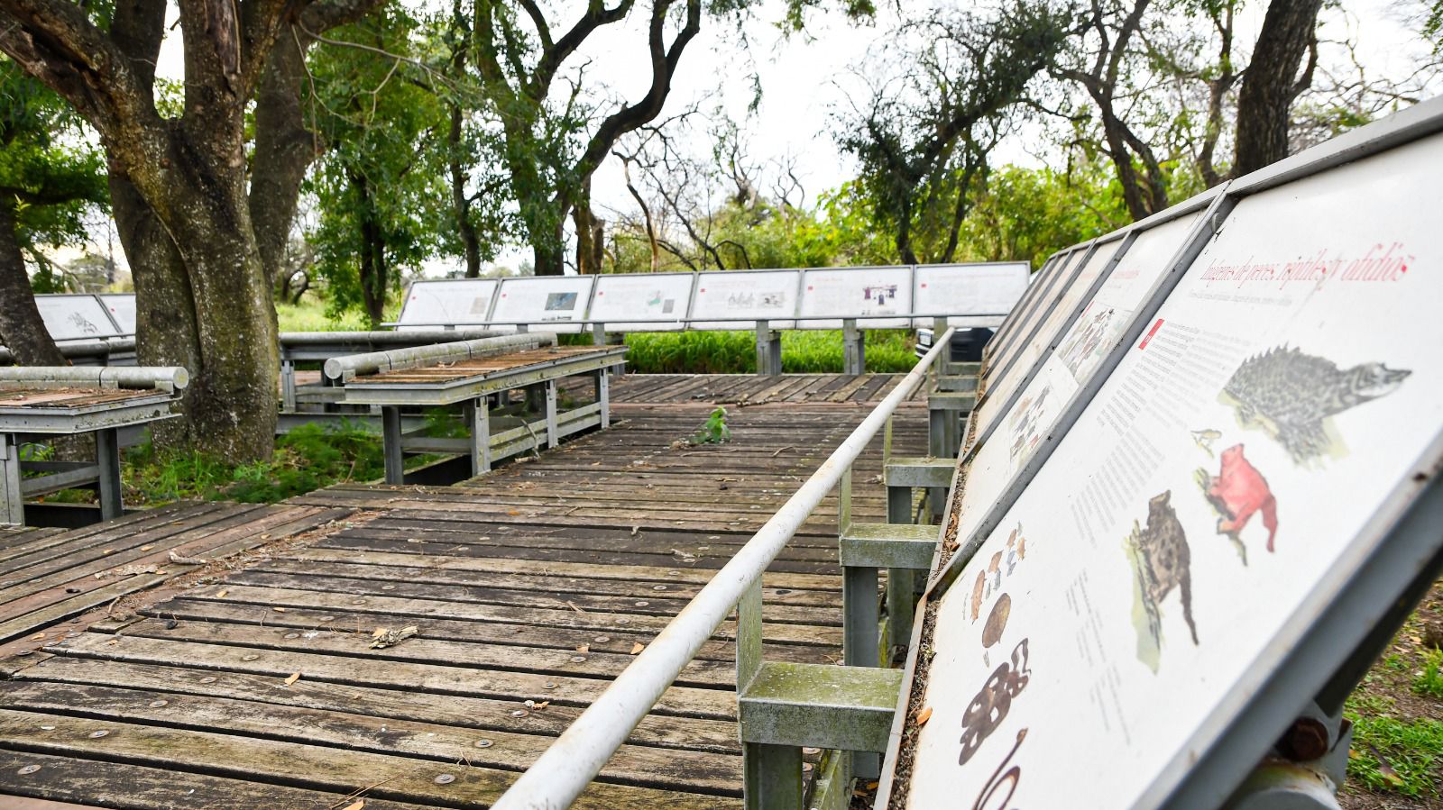Sumergirse en la biodiversidad del Parque Provincial Cayastá, novedosa propuesta para disfrutar del Invierno en Santa Fe