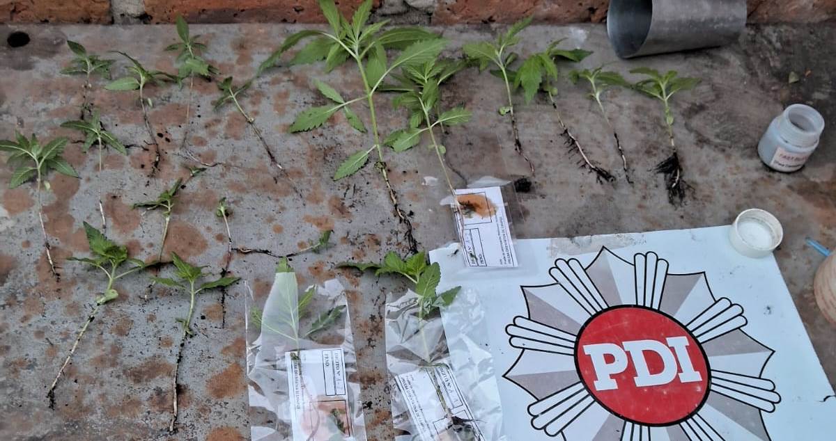 VILLA OCAMPO: Tres allanamientos, detención de un masculino y secuestro de Marihuana en un domicilio.