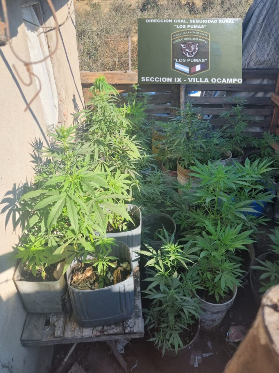 “Los Pumas” de Villa Ocampo esclarecieron un importante ilícito. 