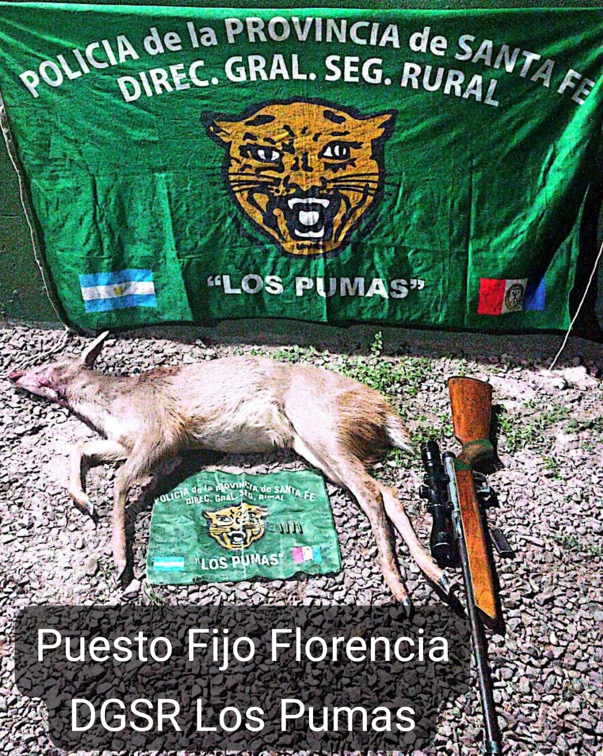 “Los Pumas” de Florencia, imputaron a dos personas por Infracción a la ley Nacional de protección y conservación de la fauna silvestre y por infracción al Art 189 Inc. II CPA.