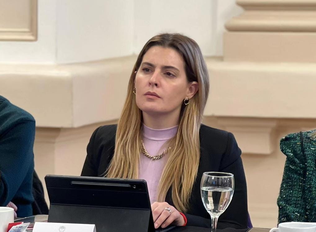 LA CÁMARA DE DIPUTADAS Y DIPUTADOS EXPRESÓ APOYO A LA DENUNCIA CONTRA EL JUEZ BAILAQUE