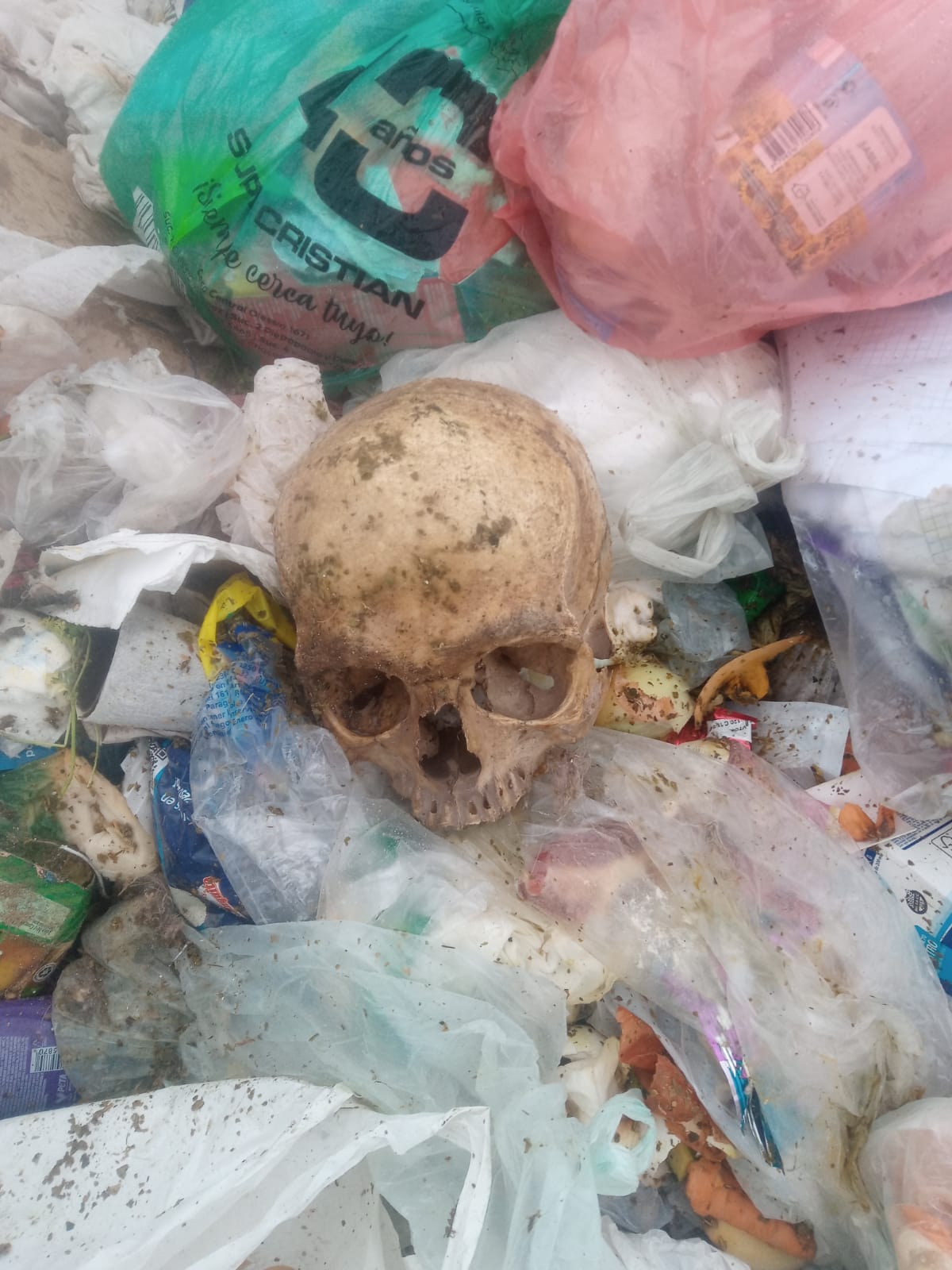 RECONQUISTA: Hallazgo de restos óseos presuntamente humanos (cráneo).