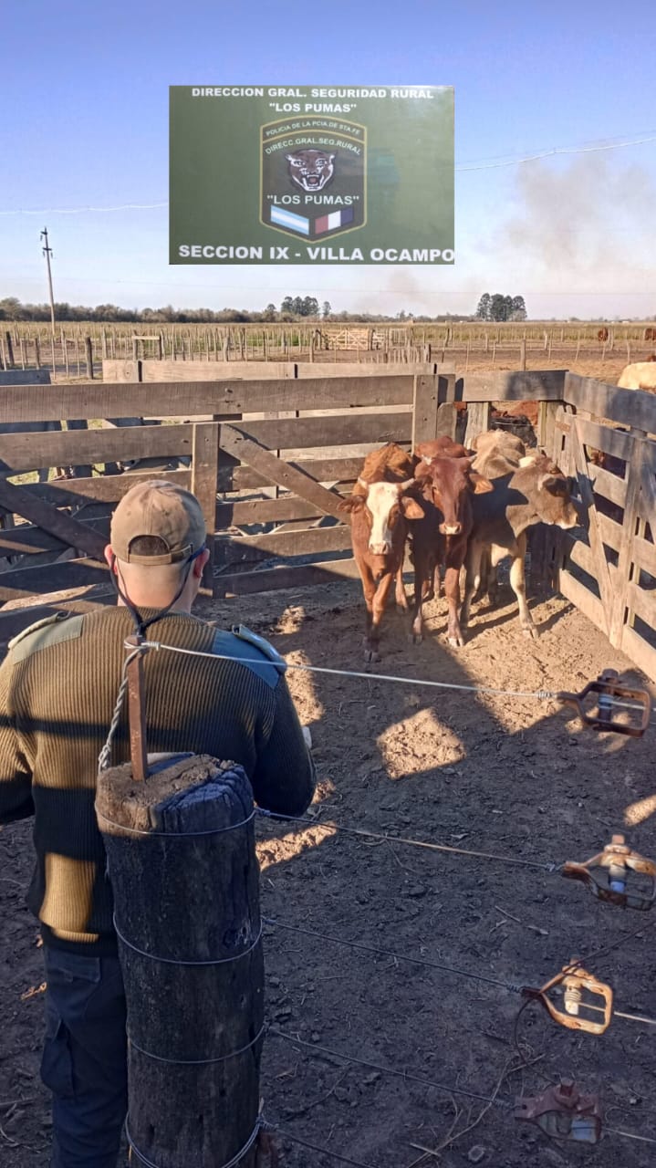 La Guardia Rural de Villa Ocampo Detuvo a una persona por ABIGEATO CALIFICADO.