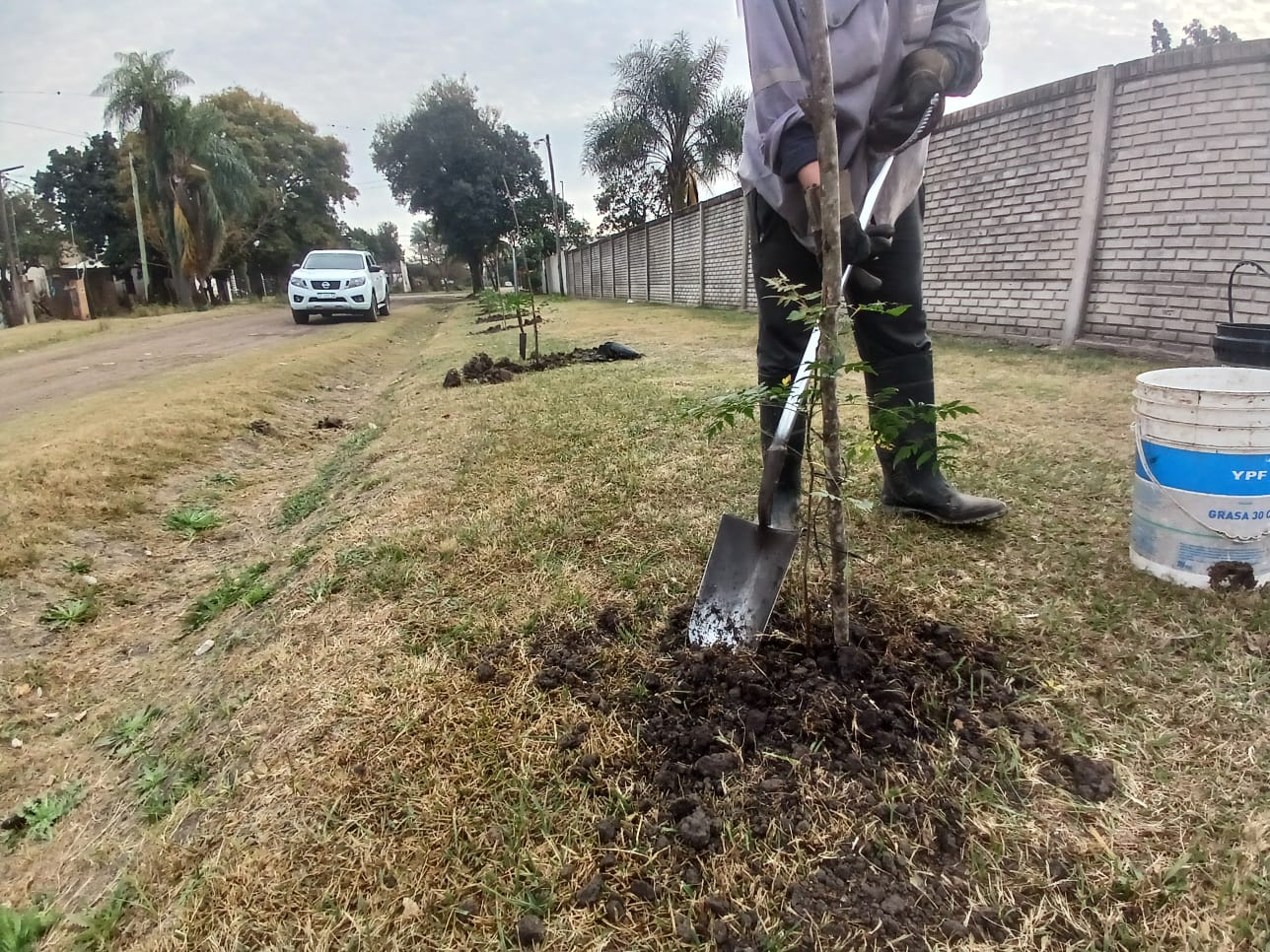 VILLA OCAMPO: CONTINÚA LA PLANTACIÓN DE ÁRBOLES EN BARRIO OESTE