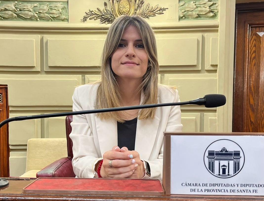 MANCINI: “EL DECRETO DEL PRESIDENTE ES UN ATAQUE A LOS DERECHOS CONSTITUCIONALES”