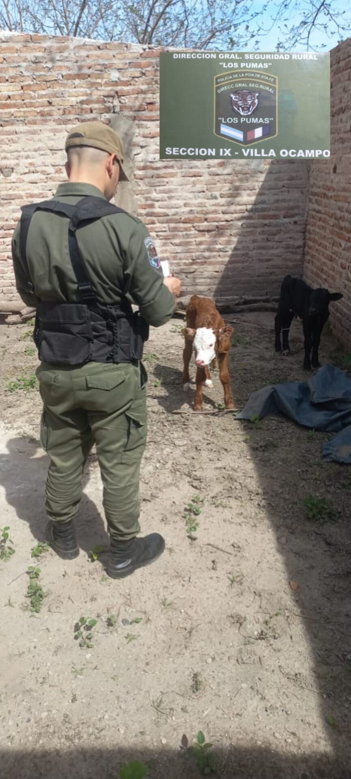 Efectivos Rurales de Villa Ocampo esclarecieron un Abigeato.
