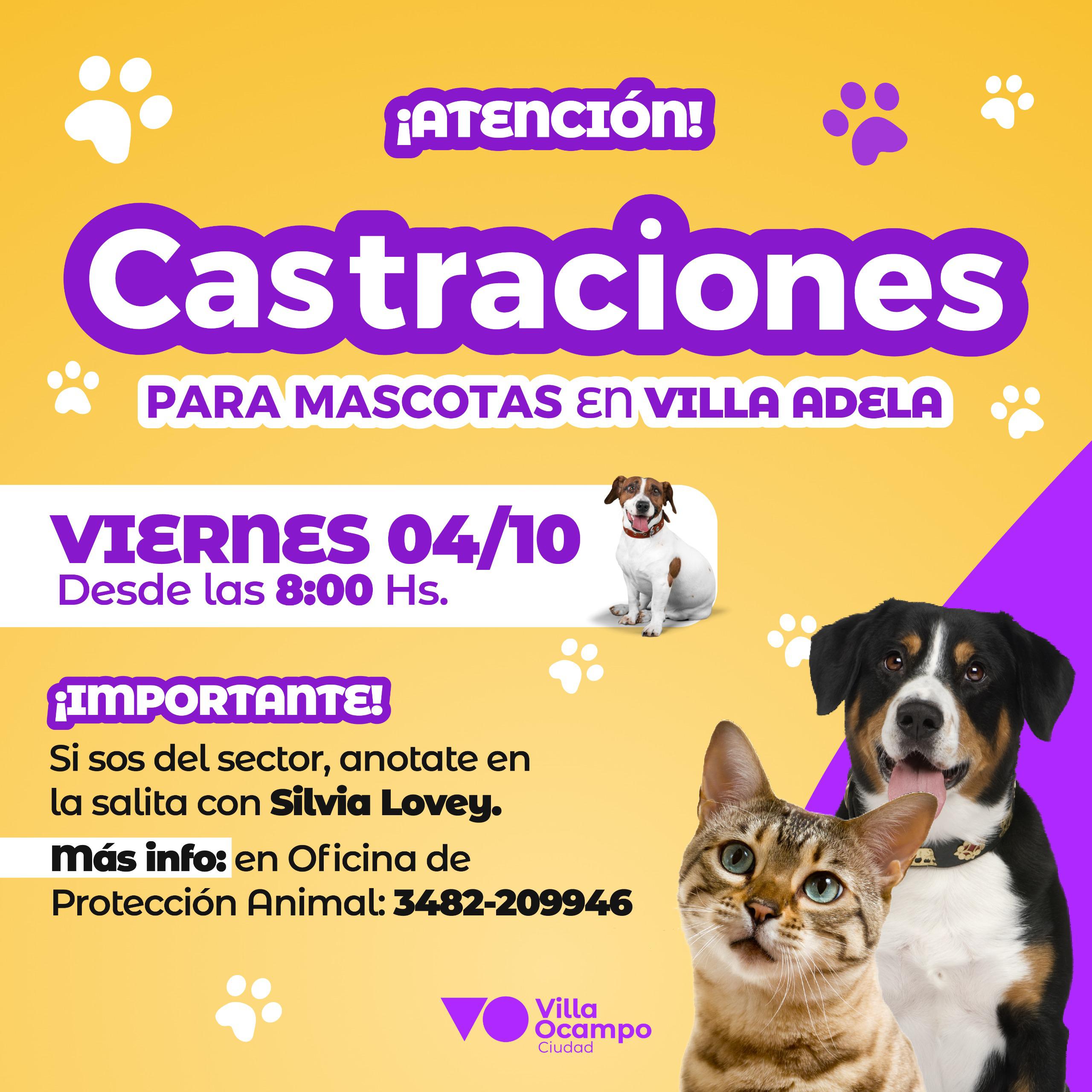 VILLA OCAMPO: CASTRACIONES GRATUITAS PARA MASCOTAS EN VILLA ADELA