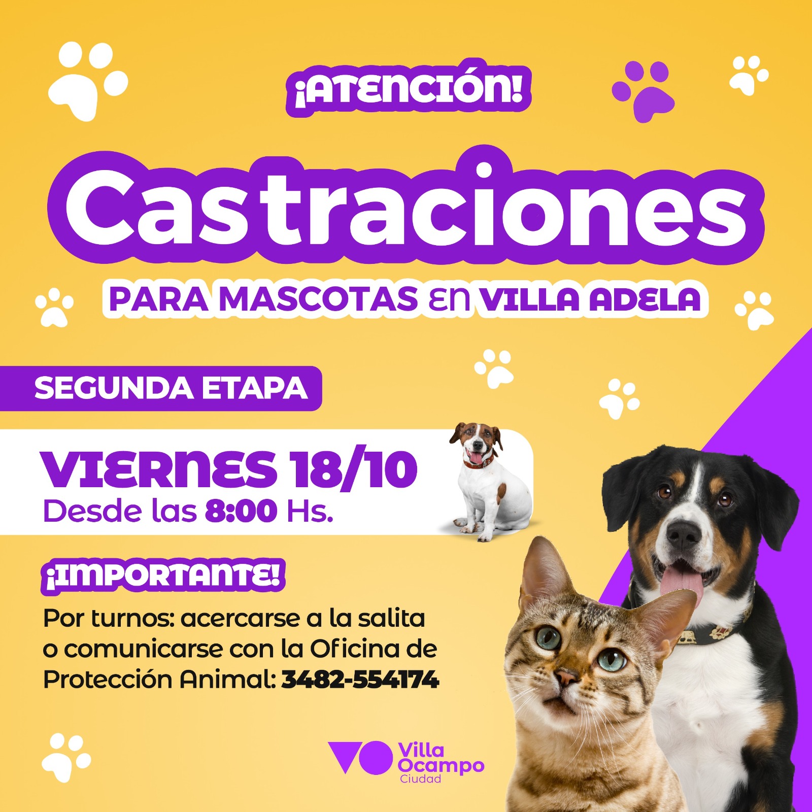 VILLA OCAMPO: SEGUNDA CAMPAÑA DE CASTRACIONES GRATUITAS PARA MASCOTAS EN VILLA ADELA