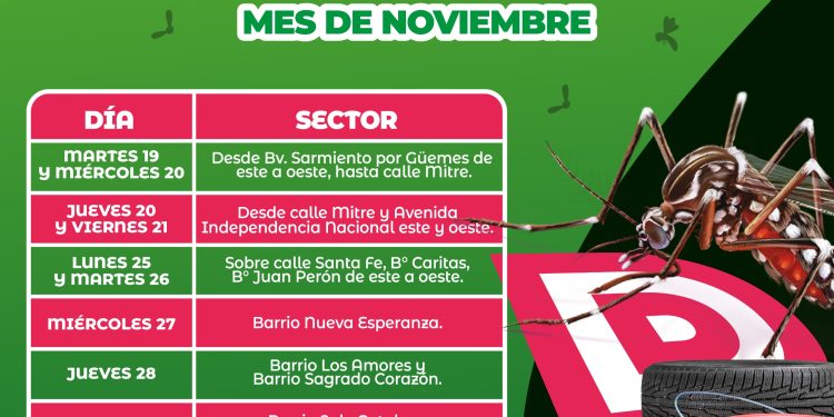 Villa Ocampo intensifica el operativo de descacharrado en noviembre