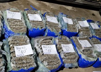 La Policía de Seguridad Vial secuestró más de 230 kilos de marihuana en el km 141 de la autopista Rosario-Santa Fe