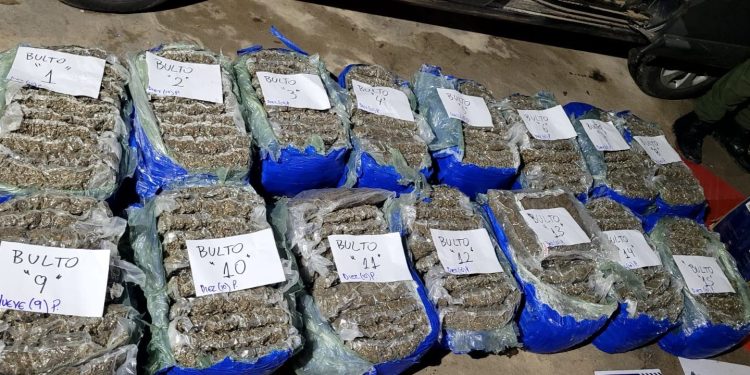 La Policía de Seguridad Vial secuestró más de 230 kilos de marihuana en el km 141 de la autopista Rosario-Santa Fe