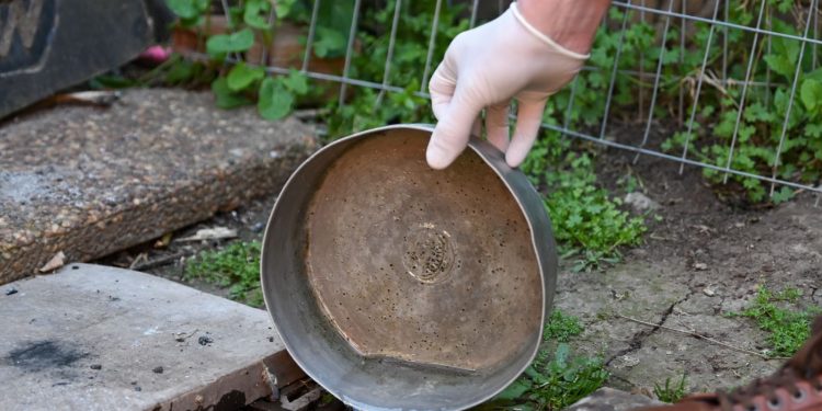 Se detectó el primer caso autóctono de dengue en la provincia de Santa Fe