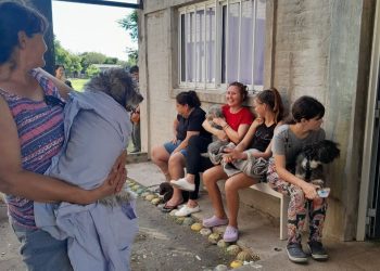 VILLA OCAMPO AVANZA EN EL PROGRAMA MUNICIPAL DE EQUILIBRIO POBLACIONAL DE MASCOTAS