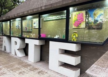 VILLA OCAMPO: NUEVA VIDRIERA DEL ARTE EN PLAZA BELGRANO: UNA EXPOSICIÓN PARA CUIDAR EL JAAUKANIGÁS