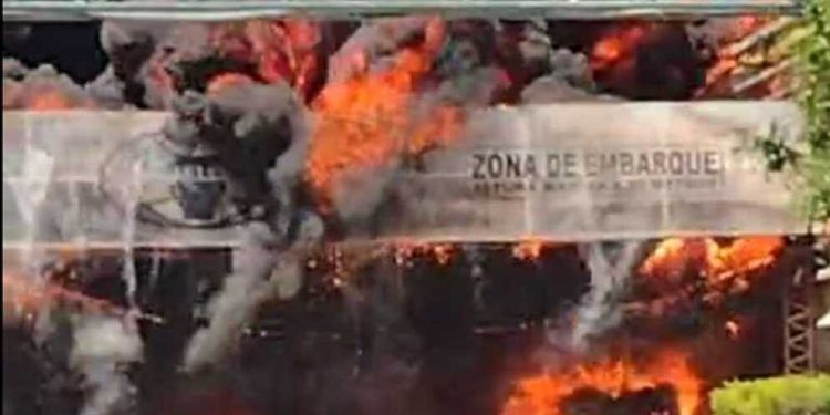 Las Toscas: Voraz incendio causó daños con pérdidas millonarias en dólares en la curtiembre ARLEI.