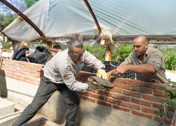 Ambiente: nuevas especies llegaron a Santa Fe para ser reinsertados en sus hábitats