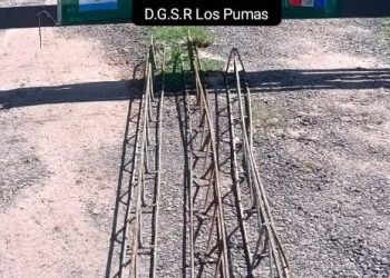 “Los Pumas” de Puesto Fijo Florencia, esclarecen un hecho de HURTO.