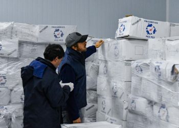 Provincia intensifica los controles y decomisos contra la pesca ilegal