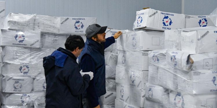 Provincia intensifica los controles y decomisos contra la pesca ilegal