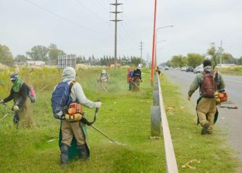 Provincia inicia un inédito proceso para el desmalezado de calzadas de rutas provinciales