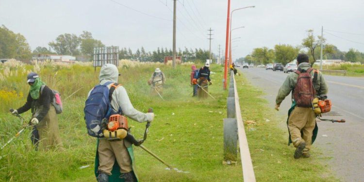 Provincia inicia un inédito proceso para el desmalezado de calzadas de rutas provinciales