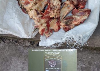 Efectivos Rurales de Villa Ocampo esclarecieron un Abigeato