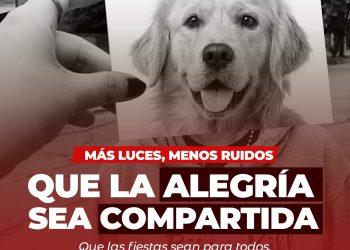 MÁS LUCES, MENOS RUIDO: DISFRUTEMOS UNAS FIESTAS SIN PIROTECNIA PARA EL BIENESTAR DE TODOS