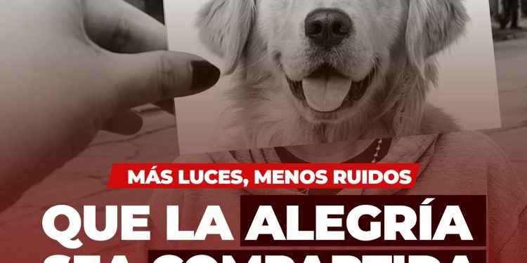 MÁS LUCES, MENOS RUIDO: DISFRUTEMOS UNAS FIESTAS SIN PIROTECNIA PARA EL BIENESTAR DE TODOS