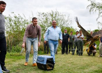 Biodiversidad: Provincia ya realizó 1.400 rescates de animales