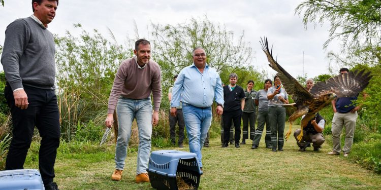 Biodiversidad: Provincia ya realizó 1.400 rescates de animales