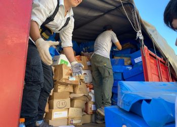 Despapelización: Desarrollo Productivo descartó 14 toneladas de papel