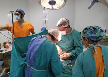 Cudaio: en 2024, Santa Fe fue la tercera provincia con más donantes de órganos