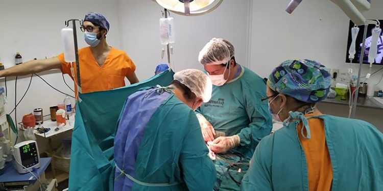 Cudaio: en 2024, Santa Fe fue la tercera provincia con más donantes de órganos