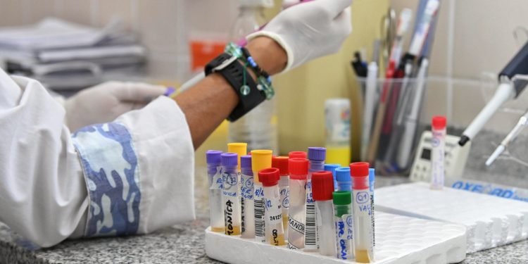 Con 50% más de insumos y en red: así trabajan los laboratorios de la Provincia de Santa Fe para la detección del dengue