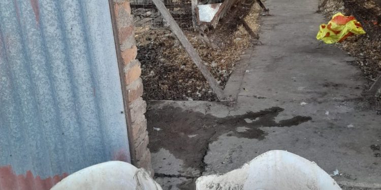 Avellaneda: Lo atraparon con los huevos en la mano, un joven de 18 años ingreso en plena siesta a robar en una granja.