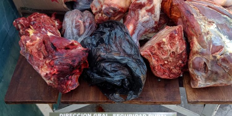 Personal de la Guardia Rural “Los Pumas” de la Localidad de Villa Ocampo, esclareció un hecho de ABIGEATO