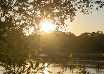 Dia Mundial de los Humedales: Santa Fe incorpora 55 hectáreas al sistema de Áreas Naturales Protegidas