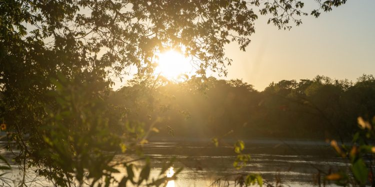 Dia Mundial de los Humedales: Santa Fe incorpora 55 hectáreas al sistema de Áreas Naturales Protegidas