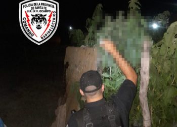 VILLA OCAMPO: Y siempre hay mas y mas! Encuentran otra plantación de marihuana.