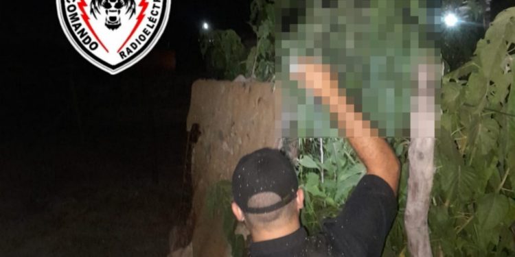 VILLA OCAMPO: Y siempre hay mas y mas! Encuentran otra plantación de marihuana.