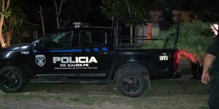 Las Toscas: La produccion de MARIHUANA se extiende en la region.