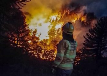 Brigadistas santafesinos continúan combatiendo focos de incendio al pie del volcán Lanín.