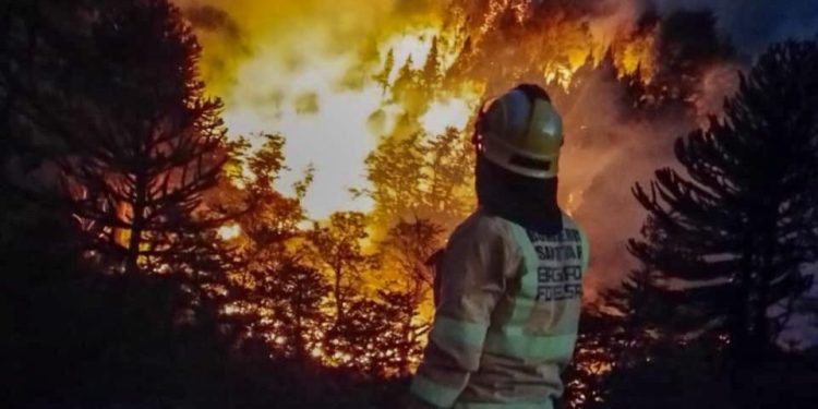 Brigadistas santafesinos continúan combatiendo focos de incendio al pie del volcán Lanín.