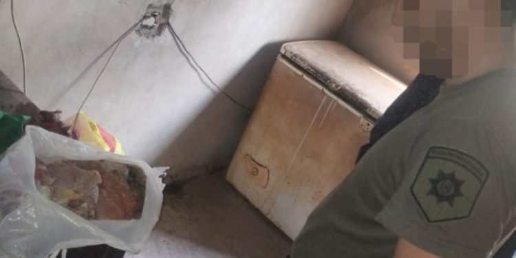 Los Pumas de Villa Ocampo esclarecieron un hecho de ABIGEATO