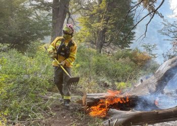 Veinte brigadistas santafesinos llegaron a Neuquén para reemplazar a sus compañeros en el combate de incendios.